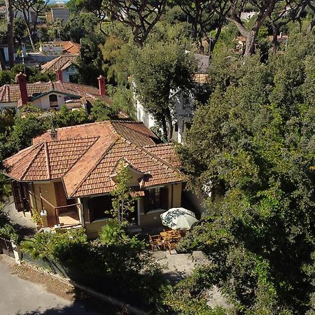 Exclusive Charming Villa - Free Parking 400 Mq Garden - Rome Airport - Roseto Villa Dream Fregenae Exterior foto